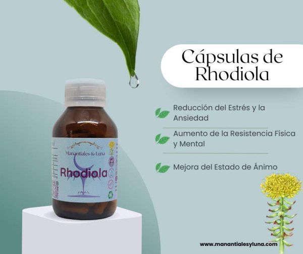Rhodiola cap
