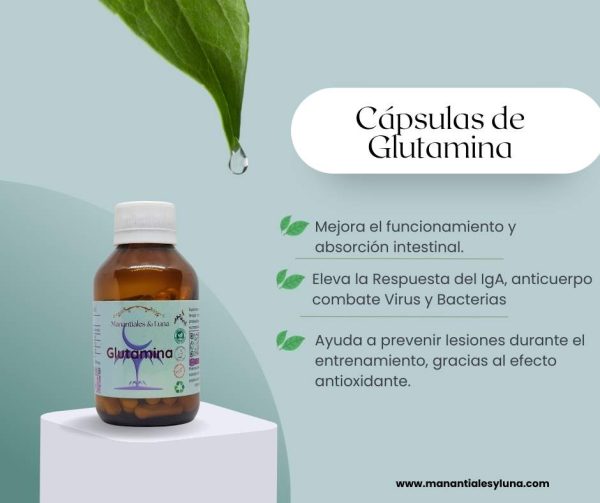 Glutamina Cap.