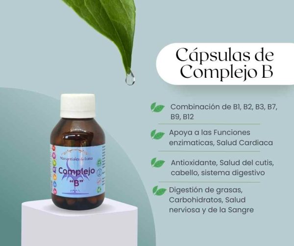 Complejo b cap