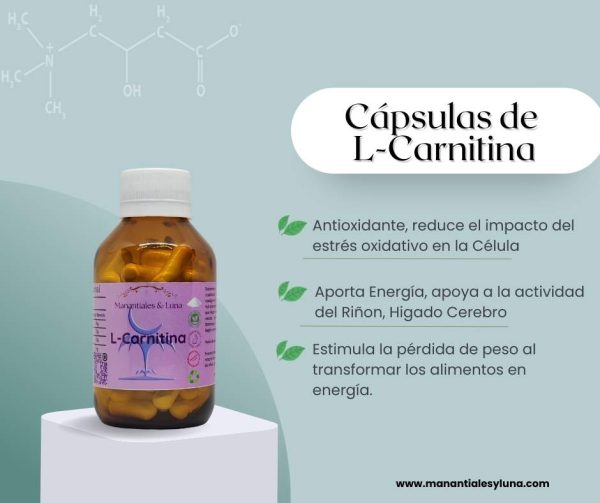 L-Carnitina Cap.