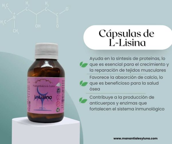 L-Lisina Cap.