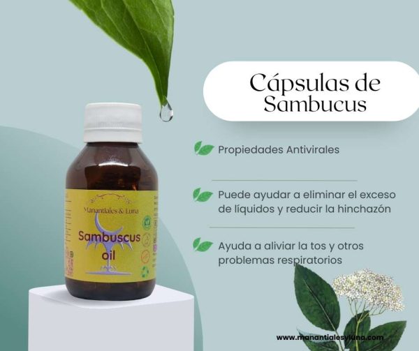 Sambucus cap