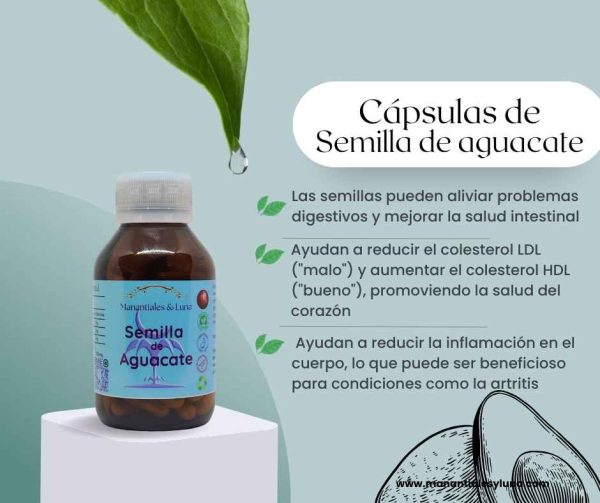 Semilla aguacate cap
