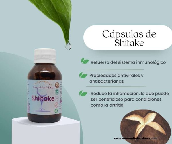 Shitake cap