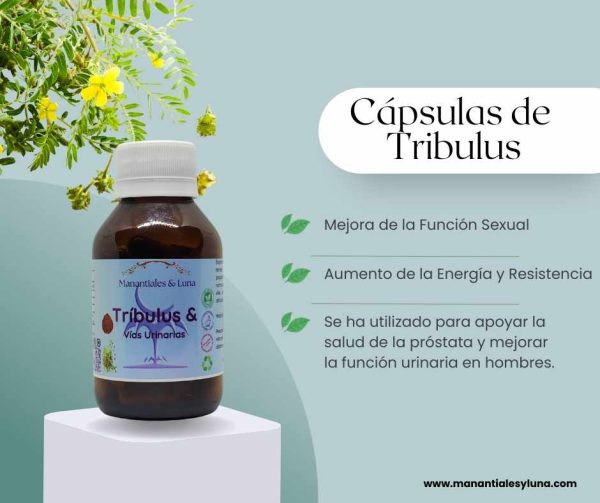 Tribulus cap