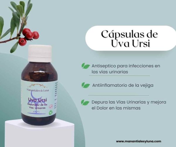 Uva ursi cap