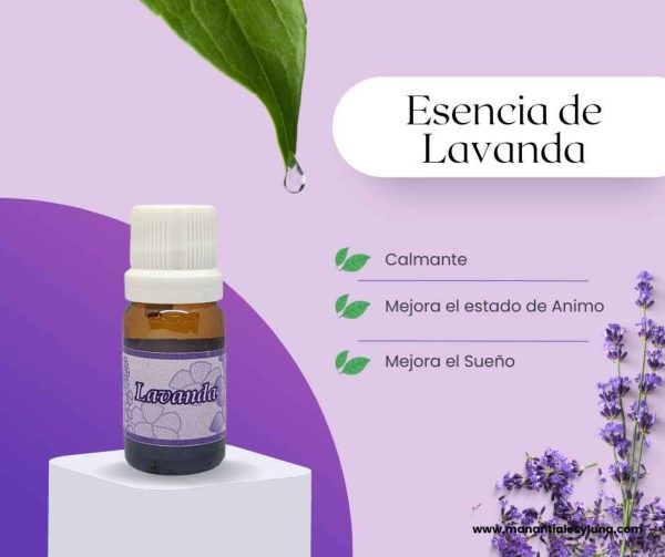 Lavanda es