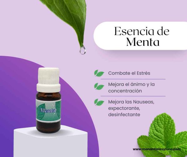 Menta es