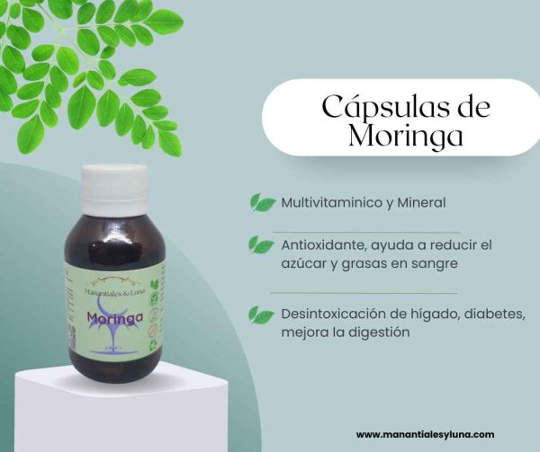 Moringa Cap.