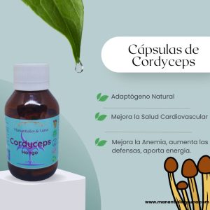 Cordyceps cap Frasco. Vidrio. Ámbar. 
60cáp. 0.522mg