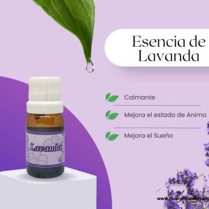 Lavanda es Frasco ámbar 10ml. c/gotero.