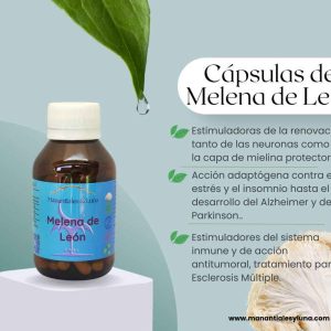 Melena de leon cap Frasco. Vidrio. Ámbar. 
60cáp. 0.413mg