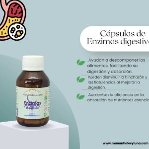 Enzimas digestivas cap Frasco. Vidrio. Ámbar. 
60cáp. 0.500mg