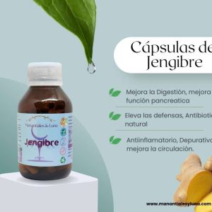 Jenjibre Cap. Frasco. Vidrio. Ámbar. 
60cáp. 0.447mg