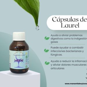 Laurel cap Frasco. Vidrio. Ámbar. 
60cáp. 0.305mg