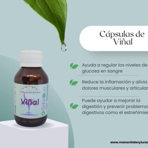 Viñal cap Frasco. Vidrio. Ámbar. 
60cáp. 0.417mg