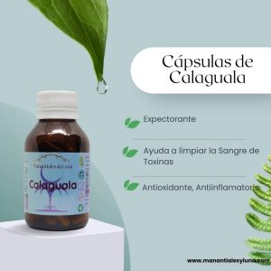 Calaguala cap Frasco. Vidrio. Ámbar. 
60cáp. 0.311mg