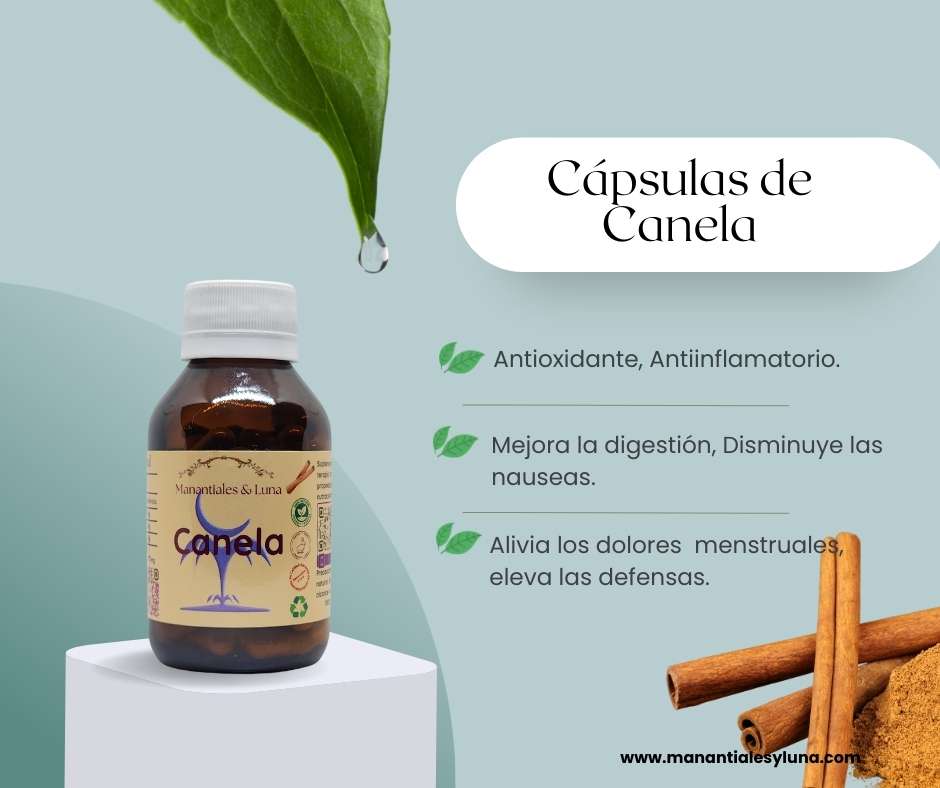 Canela cap Frasco. Vidrio. Ámbar.
60cáp. 0.388mg