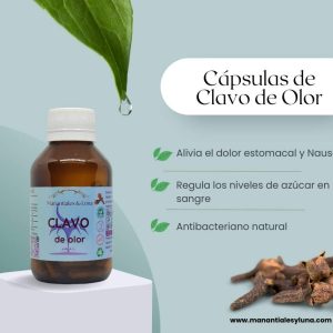 Clavo de olor cap Frasco. Vidrio. Ámbar. 
60cáp. 0.500mg