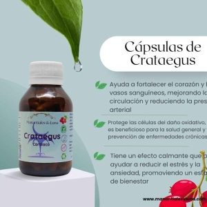 Crataegus cap Frasco. Vidrio. Ámbar. 
60cáp. 0.509mg