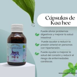 Kaa hee cap Frasco. Vidrio. Ámbar. 
60cáp. 0.408mg