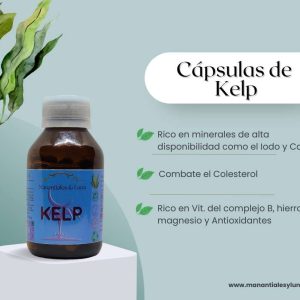 Kelp cap Frasco. Vidrio. Ámbar. 
60cáp. 0.419mg