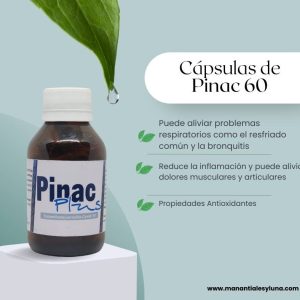 Pinac 60 Cap. Frasco. Vidrio. Ámbar. 
60cáp. 0.373mg