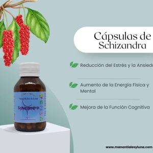 Schizandra cap Frasco. Vidrio. Ámbar. 
60cáp. 0.400mg