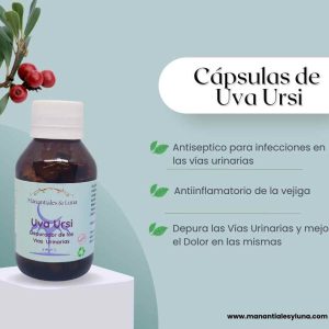 Uva ursi cap Frasco. Vidrio. Ámbar. 
60cáp. 0.401mg