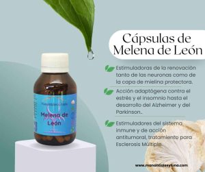 Melena de leon cap Frasco. Vidrio. Ámbar. 
60cáp. 0.413mg