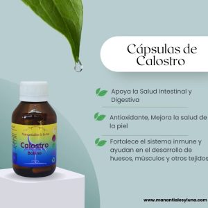 Calostro cap Frasco. Vidrio. Ámbar. 
60cáp. 0.347mg