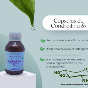 Condroitina cap Frasco. Vidrio. Ámbar. 
60cáp. 0.555mg