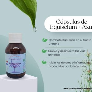 Equisetum+ cap Frasco. Vidrio. Ámbar.
60cáp. 0.381mg