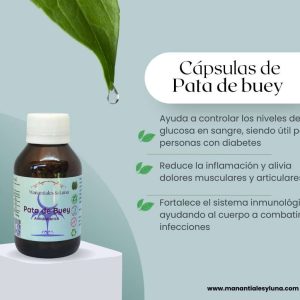 Pata de vaca cap Frasco. Vidrio. Ámbar.
60cáp. 0.277mg