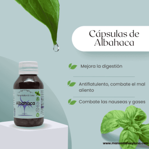 Albahaca cap Frasco. Vidrio. Ámbar. 
60cáp. 0.333mg