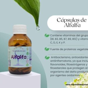 Alfalfa cap Frasco. Vidrio. Ámbar. 
60cáp. 0.288mg