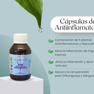 Antiinflamatorio cap Frasco. Vidrio. Ámbar. 
60cáp. 0.319mg
