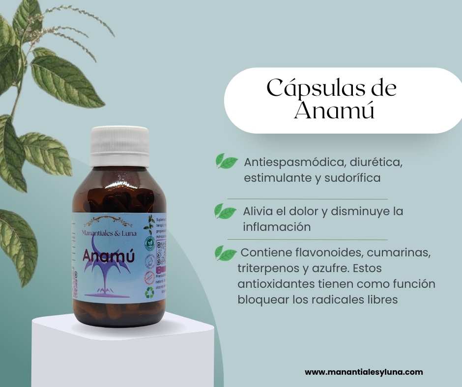 Anamu cap Frasco. Vidrio. Ámbar.
60cáp. 0.344mg