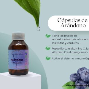 Arandano cap Frasco. Vidrio. Ámbar. 
60cáp. 0.422mg