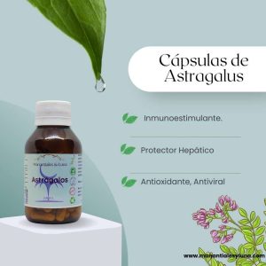 Astragalus cap Frasco. Vidrio. Ámbar.
60cáp. 0.363mg