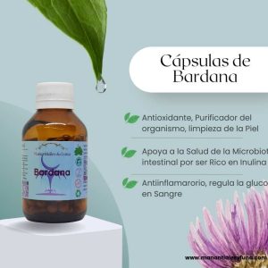 Bardana cap Frasco. Vidrio. Ámbar. 
60cáp. 0.270mg