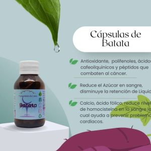 Batata cap Frasco. Vidrio. Ámbar. 
60cáp. 0.320mg