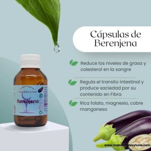 Berenjena cap Frasco. Vidrio. Ámbar. 
60cáp. 0.481mg