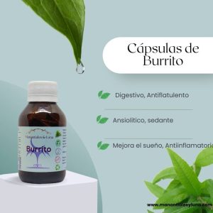 Burrito cap Frasco. Vidrio. Ámbar.
60cáp. 0.379mg
