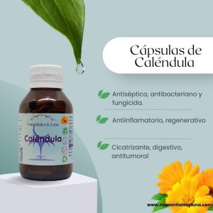 Calendula cap Frasco. Vidrio. Ámbar. 
60cáp. 0.182mg