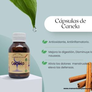 Canela cap Frasco. Vidrio. Ámbar. 
60cáp. 0.388mg