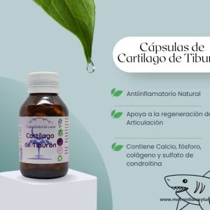 Cartilago cap Frasco. Vidrio. Ámbar. 
60cáp. 0.620mg