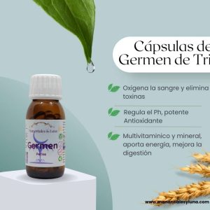 Germen de trigo Perlas. Frasco. Vidrio. Ámbar.
60Perlas. 0.250mg