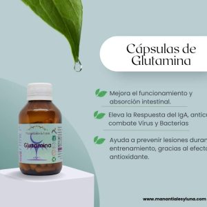 Glutamina Cap. Frasco. Vidrio. Ámbar.
60cáp. 0.538mg