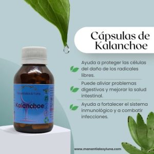 Kalanchoe Cap. Frasco. Vidrio. Ámbar. 
60cáp. 0.457mg